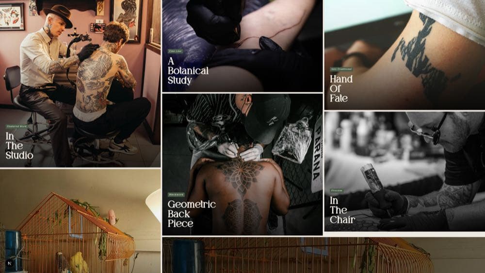 White Rabbit Studios still 1